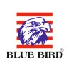 Blue Bird
